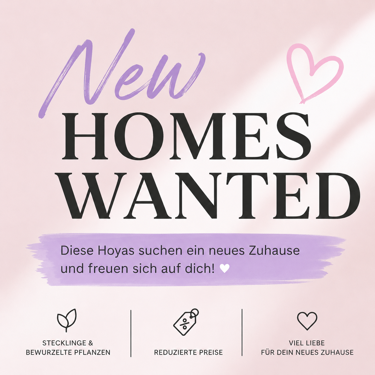 New Homes Wanted