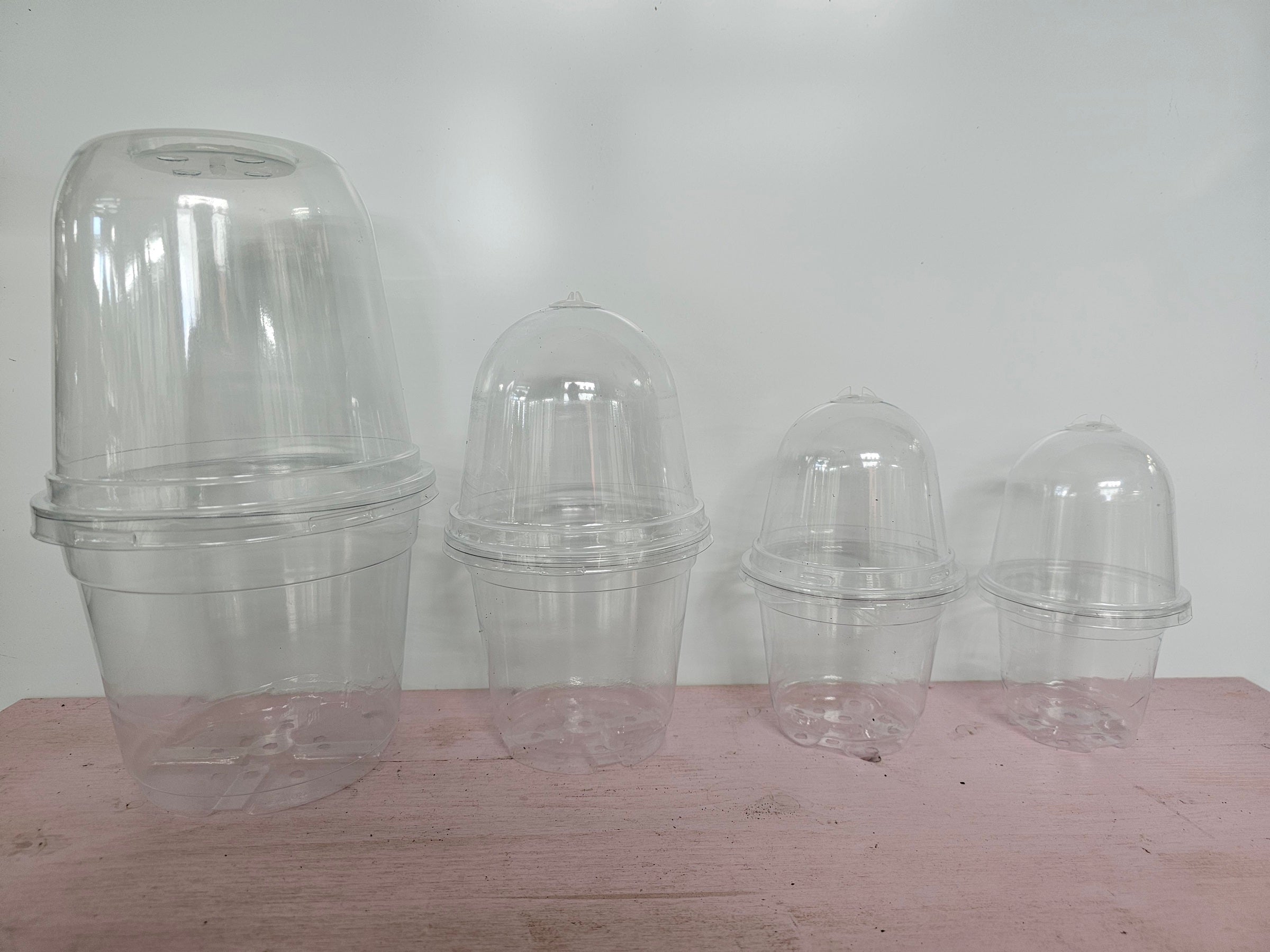 Anzuchttopf mit Haube