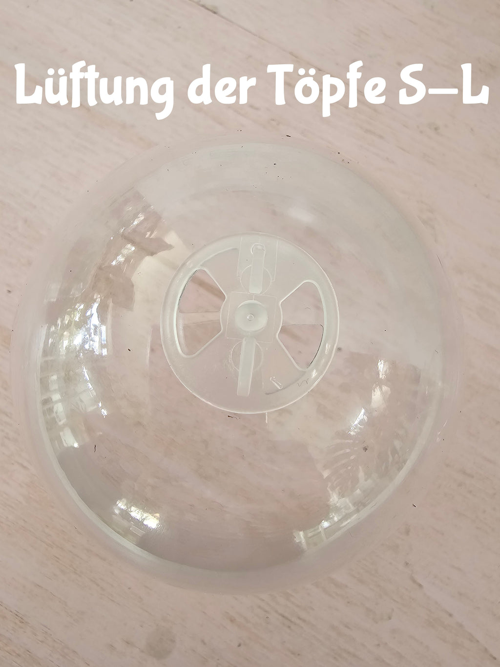Anzuchttopf mit Haube