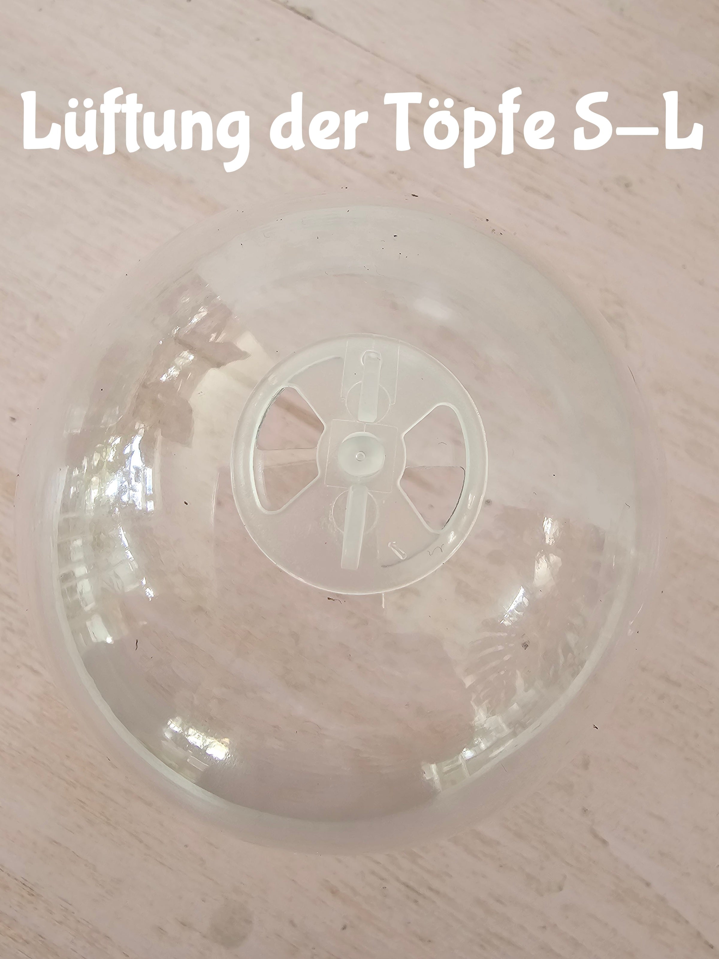 Anzuchttopf mit Haube