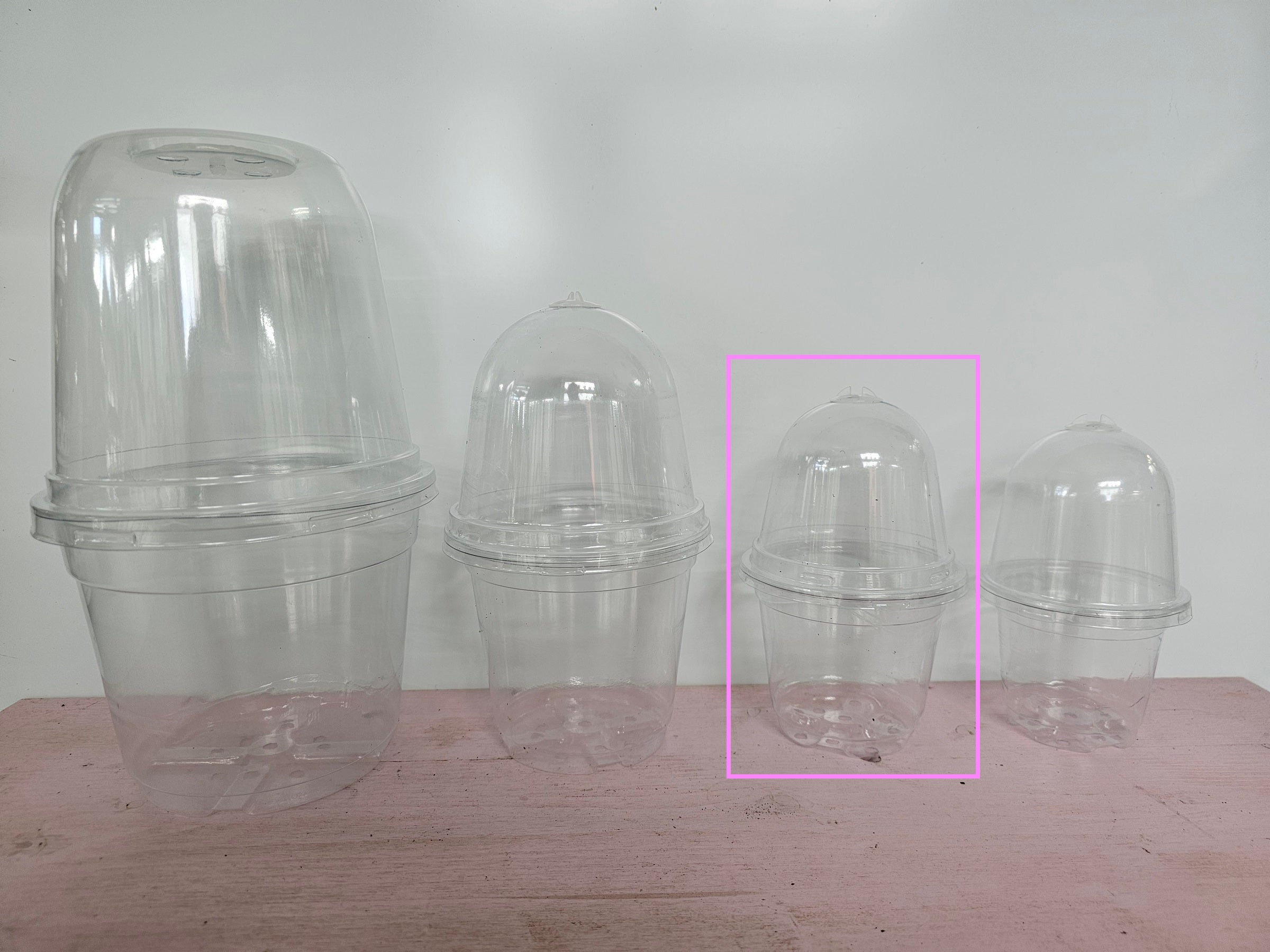 Anzuchttopf mit Haube