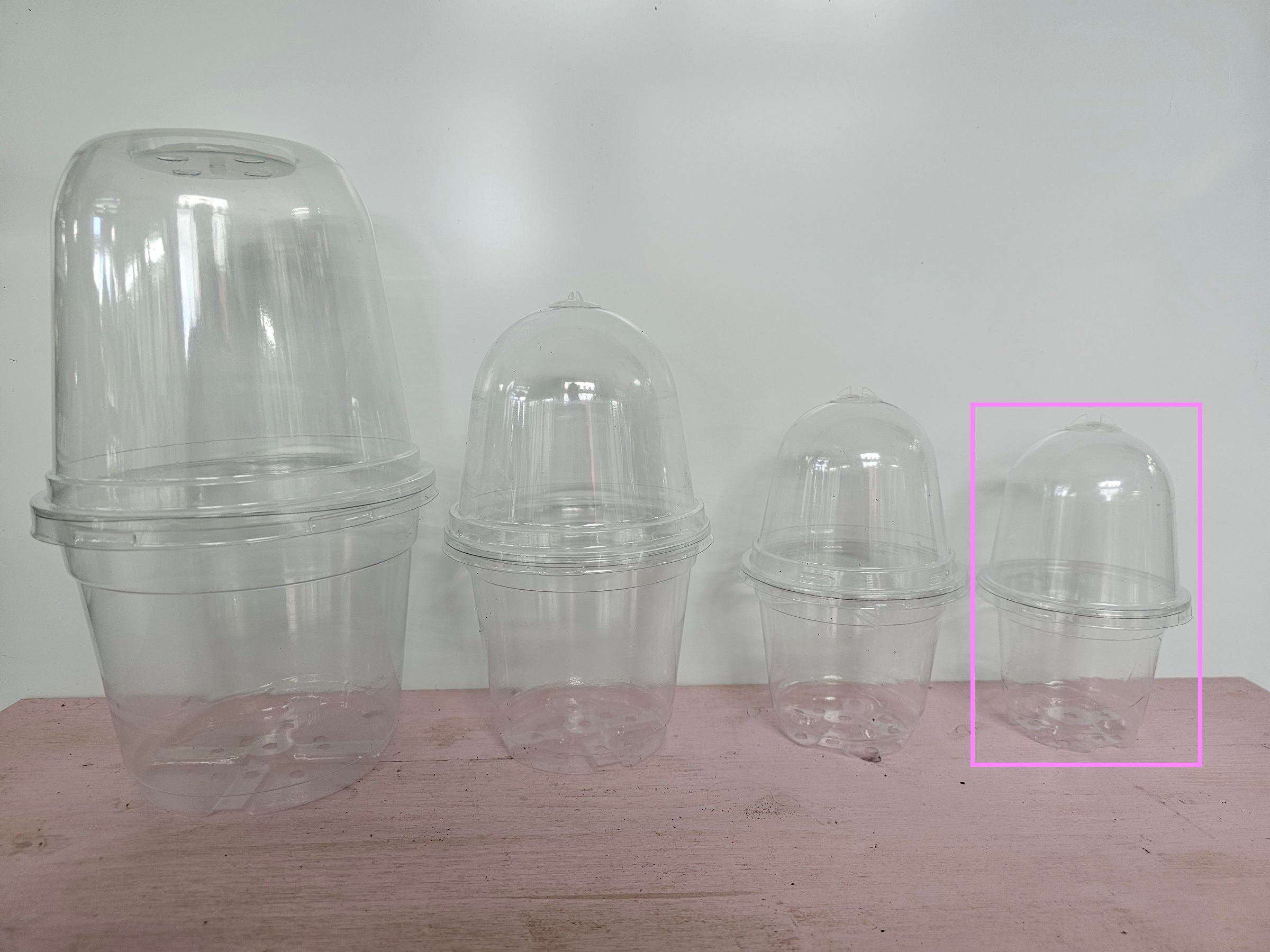 Anzuchttopf mit Haube