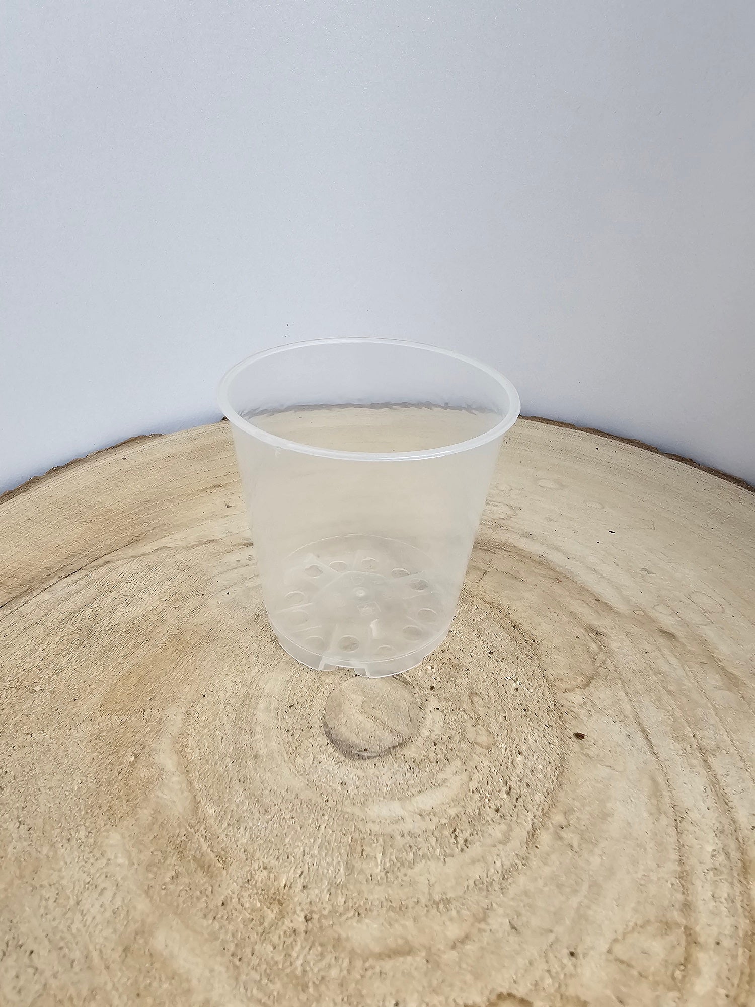 Pflanztopf transparent 6cm