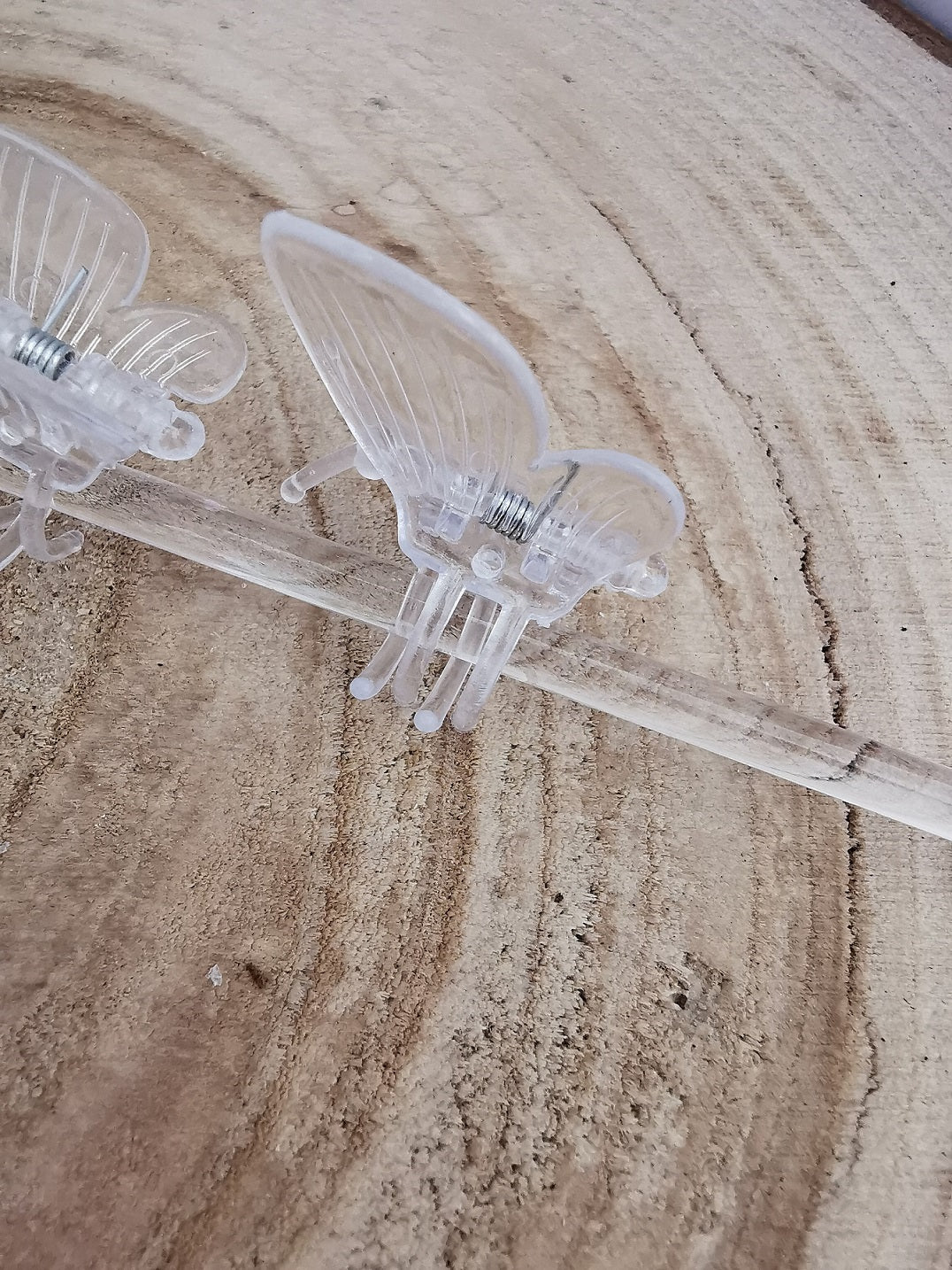 Pflanzenklammern Befestigung Schmetterlinge