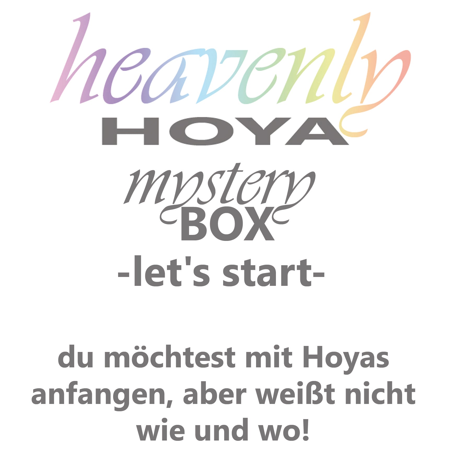 Hoya mystery BOX - let's start-