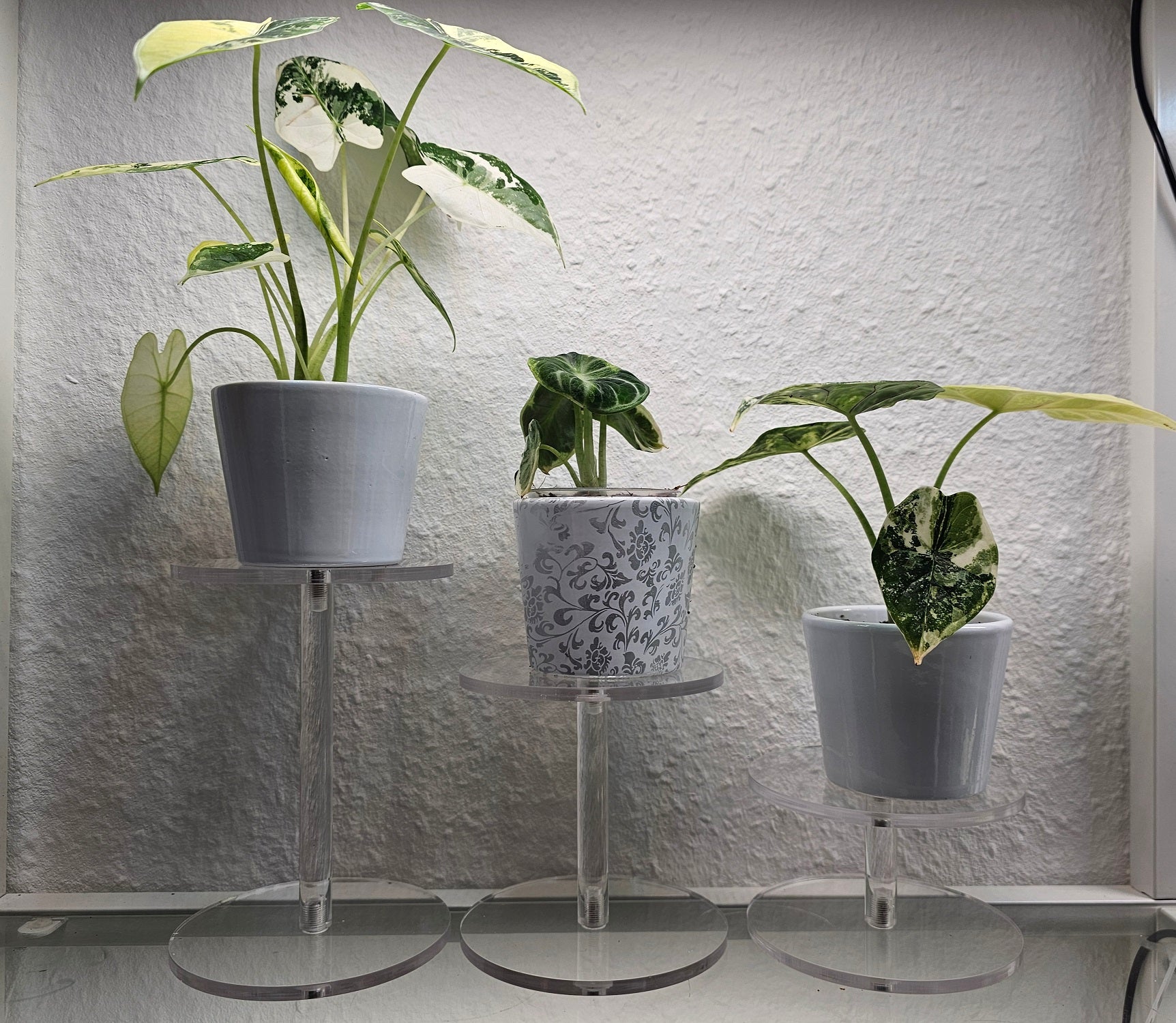 Acryl-Podest transparent