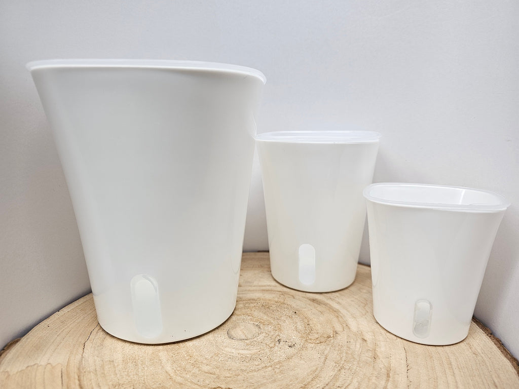 Selbstbewässerungstopf