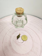 Alocasia teletubbies Rhizom